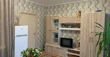 Apartment in Vsevolozhsk, Russia