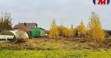 Haus in Dziamidavicki siel ski Saviet, Weißrussland