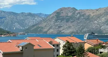 Wohnung 1 Schlafzimmer in Dobrota, Montenegro