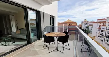 Penthouse 2 bedrooms with Furnitured, with Elevator, with Air conditioner in Torrevieja, Spain