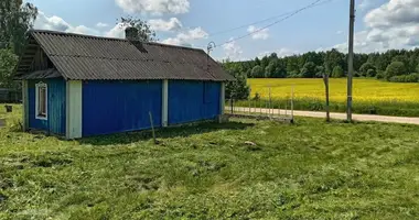 Дом в Гайненский сельский Совет, Беларусь