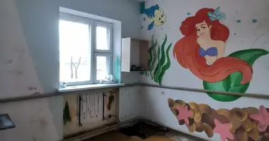 3 room apartment in Panizouje, Belarus