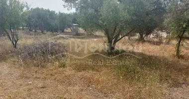 Plot of land in Polygyros, Greece