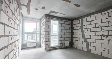Appartement 1 chambre dans Minsk, Bélarus