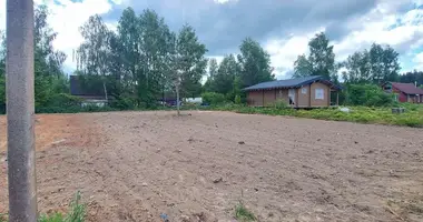 Terrain dans Rakauski siel ski Saviet, Biélorussie