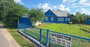 House in Smalyavichy, Belarus