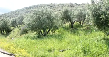 Grundstück in Provinz Ierapetra, Griechenland