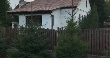 Dom w Mikalajeuscynski sielski Saviet, Białoruś