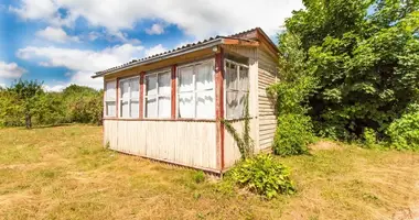 House in Laumenai, Lithuania