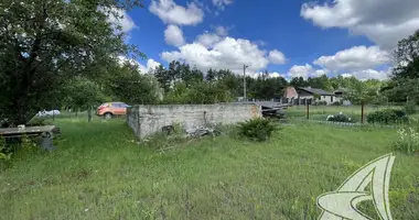 Plot of land in Matykalski sielski Saviet, Belarus