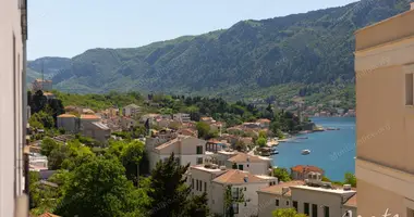 Mieszkanie 1 pokój w Kotor, Czarnogóra