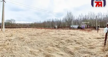 Maison dans Dukorski siel ski Saviet, Biélorussie