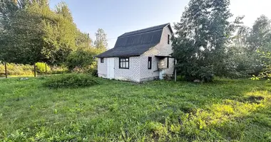 Haus in Piatryskauski siel ski Saviet, Weißrussland