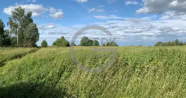 Plot of land in gorodskoe poselenie Zubcov, Russia