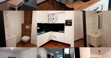 Apartamento 1 habitación en Cracovia, Polonia