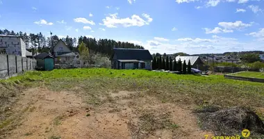 Maison dans Papiarnianski siel ski Saviet, Biélorussie