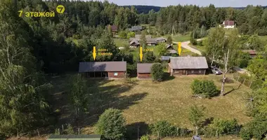 Maison dans Svabski siel ski Saviet, Biélorussie