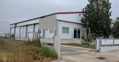 Warehouse 626 m² in Ergates, Cyprus