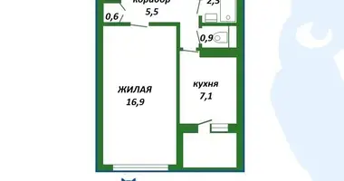 1 room apartment in Minsk, Belarus