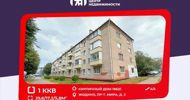 Appartement 1 chambre dans Jodzina, Biélorussie