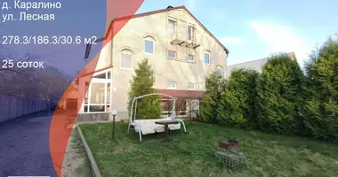 Dom w Krupicki sielski Saviet, Białoruś