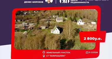 Plot of land in Krasnienski sielski Saviet, Belarus