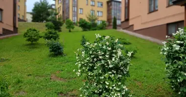 Квартира 1 комната в Bugrovskoe gorodskoe poselenie, Россия