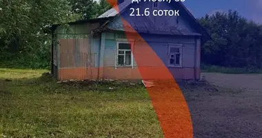 Dom w Krasnienski sielski Saviet, Białoruś