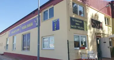 Propriété commerciale 905 m² dans El Saladar, Espagne