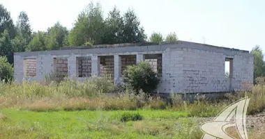 House in Rakitnicki sielski Saviet, Belarus