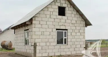 House in Telminski sielski Saviet, Belarus