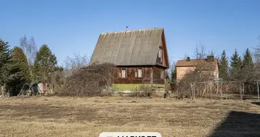 House in Lasanski sielski Saviet, Belarus