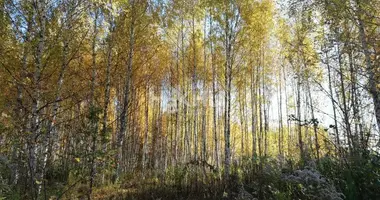 Parcela en gorodskoy okrug Bor, Rusia