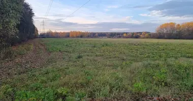 Plot of land in Kosewko, Poland