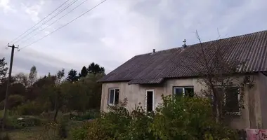 House in Sarocynski sielski Saviet, Belarus