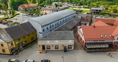 Propriété commerciale 862 m² dans Priekule, Lituanie