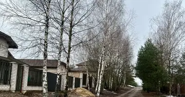 House in Bialarucki sielski Saviet, Belarus