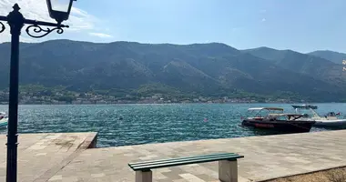 2 bedroom apartment in Dobrota, Montenegro
