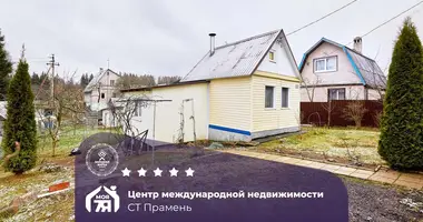 Haus in Radaskovicki sielski Saviet, Belarus