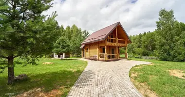 House in Svabski sielski Saviet, Belarus