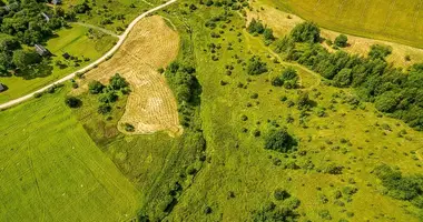 Plot of land in Sirvintos, Lithuania