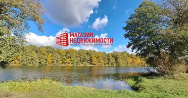 Участок земли в Мостовский сельский Совет, Беларусь