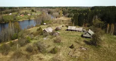 Дом в Radiliskes, Литва