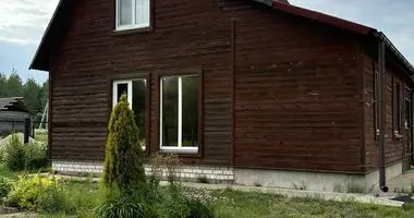 House in Povyatskiy selskiy Sovet, Belarus