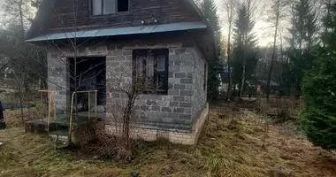 House in Aliachnovicki sielski Saviet, Belarus