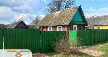 House in Nalibacki sielski Saviet, Belarus