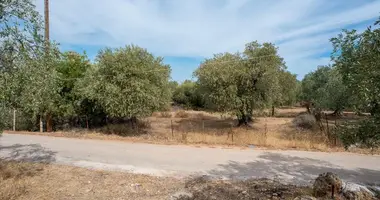Plot of land in Skala Kallirachis, Greece