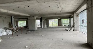 Nieruchomości komercyjne 910 m² w Tbilisi, Gruzja