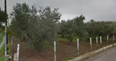Участок земли в Sozopoli, Греция
