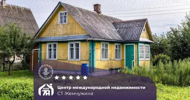 Haus in Fanipalski sielski Saviet, Belarus
